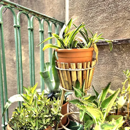 L'artiste - Balcon - Clim Apartman
